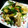 ゆざく's cooksnap of when they made かぶとエリンギのにんにく炒め.