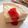 ゆこぱんぱん's cooksnap of when they made ヘルシーレア♪ヨーグルトケーキ♪.