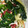 クックRYTDC4☆'s cooksnap of when they made カニカマを簡単にほぐす方法✨.