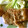 ヒロ妻1010's cooksnap of when they made 我が家の生姜焼き★.