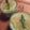 カバゴン's cooksnap of when they made ヘルシー☆アスパラのムース風.