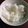 まりぺぺぺぺぺぺぺ's cooksnap of when they made 簡単！フローズンヨーグルト.