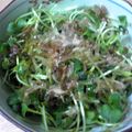 四葉のみつば's cooksnap of when they made 簡単★かいわれのおかか和え.