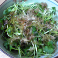 四葉のみつば's cooksnap of when they made 簡単★かいわれのおかか和え.