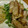 とこだま's cooksnap of when they made 万能たれで鶏の照り焼き.