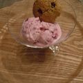 melmarilyn's cooksnap of when they made ブルーベリー＆レモンフローズンヨーグルト.