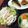 935kitchen's cooksnap of when they made 蒸し鶏のごまドレサラダ.