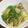 だいきママ2010's cooksnap of when they made 1玉ペロリ☆レタスのオイスターソース炒め.