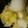 りゅうのスケ's cooksnap of when they made 白だしとゆず胡椒だけ！白菜漬.