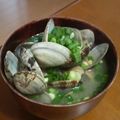 サーフブレイド's cooksnap of when they made 「あさりの味噌汁」.