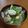 サーフブレイド's cooksnap of when they made 「あさりの味噌汁」.