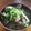 サーフブレイド's cooksnap of when they made あさりの味噌汁＊砂出し.