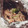 candybreak's cooksnap of when they made 簡単絶品♪鮭ときのこのホイル焼き.