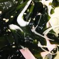 くじら2号's cooksnap of when they made わかめのナムル.