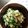 かぴーな's cooksnap of when they made ◆新玉ねぎソース on 冷奴◆.