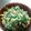 かぴーな's cooksnap of when they made にんじん葉の彩りサラダ.