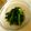 クックLWTF8L☆'s cooksnap of when they made ほうれん草のポン酢がけ.