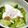 みけねこやよい's cooksnap of when they made ブロッコリーの巣ごもり卵.