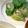 mogu☆☆'s cooksnap of when they made レタス巻サラダ.