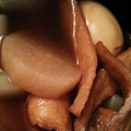 shelly616's cooksnap of when they made 簡単☆手羽元と大根 生姜強め煮物.