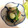 はぎまり's cooksnap of when they made きゅうりとにらの酢の物.