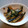 タノchamのママ's cooksnap of when they made ごはんがすすむ！ナスの生姜焼き風.