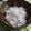 クックH86AFM☆'s cooksnap of when they made 基本！炊飯器で簡単に麦入りお粥.