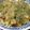 クックH86AFM☆'s cooksnap of when they made お好み焼き.