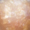 NM7466's cooksnap of when they made 中華風コーンスープ.