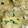 りゅうのスケ's cooksnap of when they made 簡単 シュウマイ.