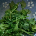 ma___111's cooksnap of when they made 和えるだけ～★三つ葉のおひたし.