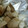 ma___111's cooksnap of when they made エリンギのソテー★焼くだけ簡単.