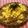 ちょこ✪0214's cooksnap of when they made ウチの「そぼろ丼」.