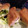 ポヨちママ's cooksnap of when they made 餅とおさかなソーセージのピザ風春巻き.