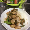 ニッシーマン's cooksnap of when they made 豚肉とゴーヤの中華炒め（苦瓜的家常料理）.