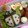 たにたーに's cooksnap of when they made てんとう虫のお弁当～幼稚園児.