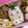 たにたーに's cooksnap of when they made キャラ弁？！お馬さんのお弁当.