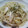 soraまま's cooksnap of when they made 長ネギとしめじの和風パスタ.