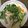 yaokiyaoki's cooksnap of when they made 超簡単！ 半熟ゆで卵.