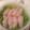 xMARILYNx's cooksnap of when they made 豚バラもやし巻.