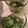 よーこマン's cooksnap of when they made きゅうりのもずく酢和え.