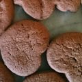 けいてぃ☆'s cooksnap of when they made シンプルさくさく！ココアクッキー.
