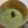 くろひとぽん's cooksnap of when they made * 春野菜 ♥ そら豆のスープ♬.