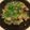 クックET15YS☆'s cooksnap of when they made 鶏肉と大根のガーリックオイル焼き.