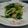 mochiもちを's cooksnap of when they made ホウレンソウと長ネギのからし和え.