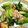 chirochan☆'s cooksnap of when they made 青梗菜とマイタケの炒め物.