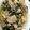 ひじきだいふく's cooksnap of when they made 鶏肉のマヨネーズ焼き！.