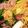 クック08DTU1☆'s cooksnap of when they made 砂肝と長ねぎの和風スパゲッティ！.