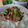 taako1552's cooksnap of when they made ♡簡単しらす納豆♡.