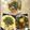【ayu】's cooksnap of when they made 甘辛☆豚丼.